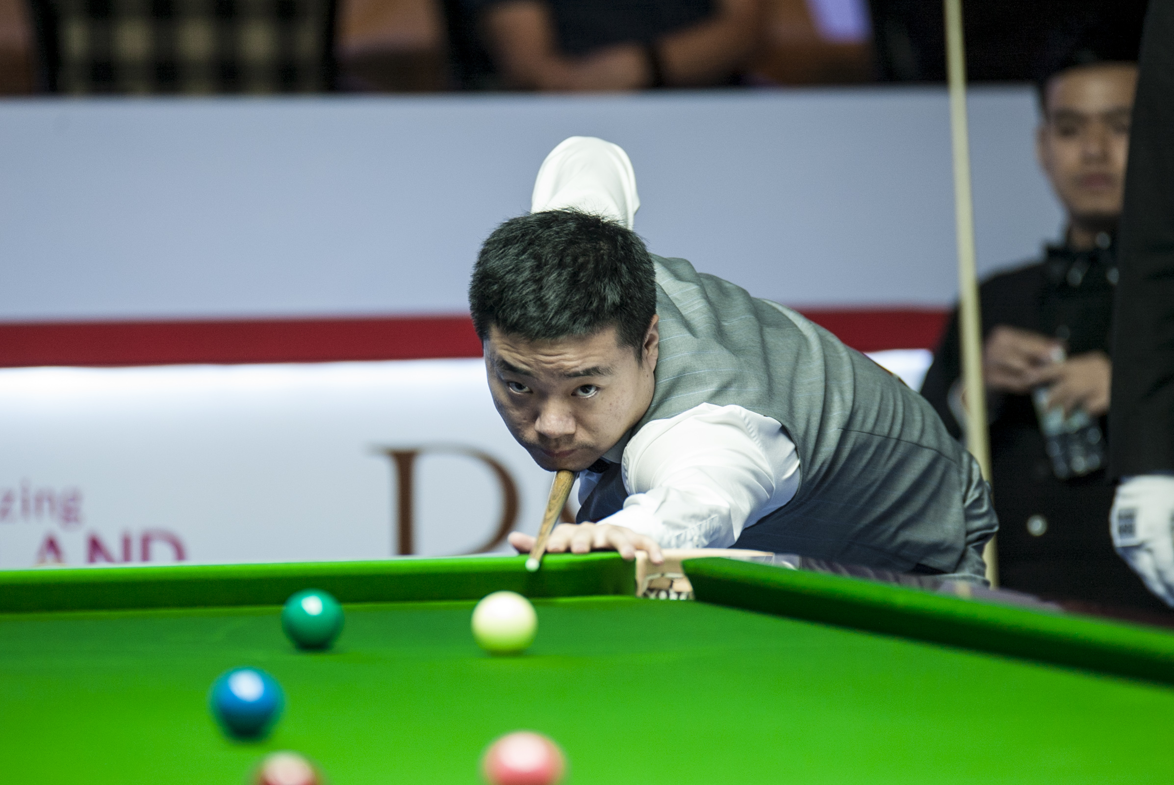 团队的细致 团队的细致