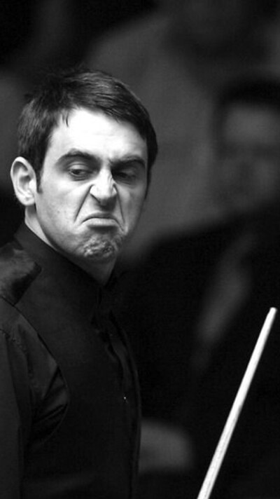 社会展示了 社会展示了